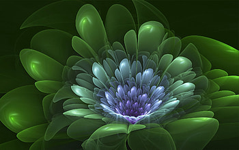 Abstract, Flower, Shine, Light, Petals, Shroud HD wallpaper