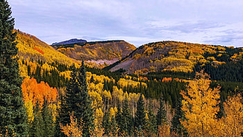 San Juan National Forest, Colorado, hills, fall, landscape, clouds, autumn, trees, colors, sky, usa HD wallpaper