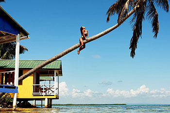 Bikini Model ~ Erin Krouse up a Tree, bikini, model, beach, brunette HD wallpaper