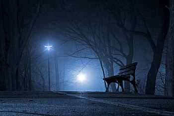 Nature, Night, Park, Bench, Gloomy, Gloomily HD wallpaper