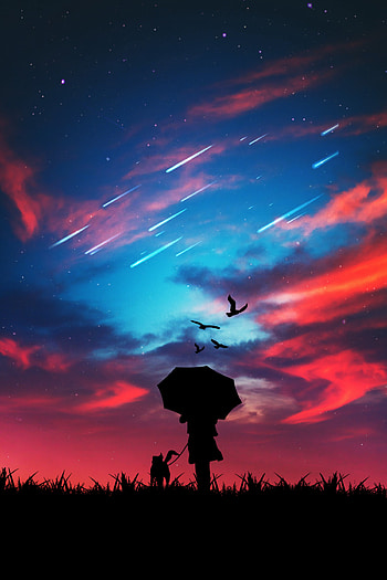 Sky, Dark, Bright, Silhouette, Stroll, Starfall HD phone wallpaper