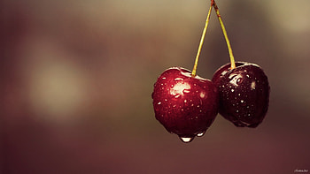 Fruits, Food, Cherry HD wallpaper