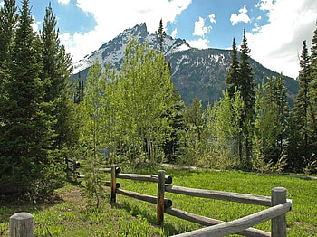 Grand Teton National Park, trees, national park, mountains, fence HD wallpaper