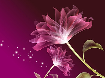 Plants, Flowers HD wallpaper