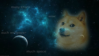 WOW DOGE CALM MUCH SHIBE | DOGE | Pinterest | Much! and Doge HD wallpaper