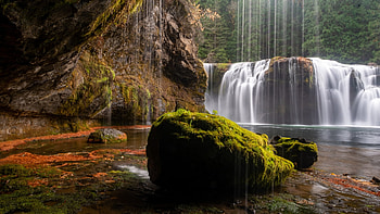 Lower Lewis Falls, Lewis River, Washington, trees, cascade, rocks, forest, usa HD wallpaper