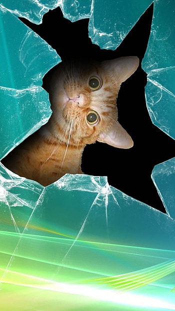 Mobile Glass Broken, Cat, Background HD phone wallpaper