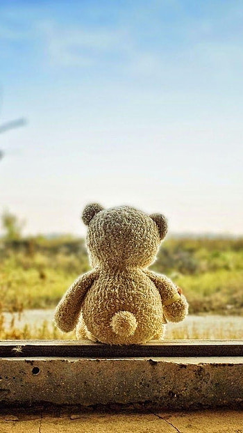 Teddy Wale, Alone, Teddy, Background HD phone wallpaper