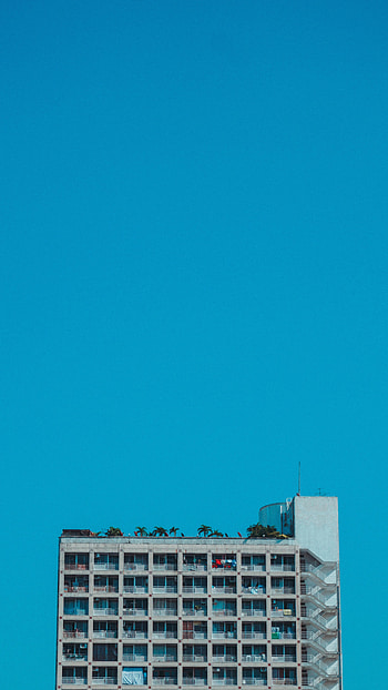 Palms, Building, Minimalism, Facade HD phone wallpaper
