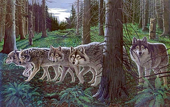 Beneath the Raven Moon, love four seasons, wolves, wildlife, animals, draw and paint, forests, moons HD wallpaper