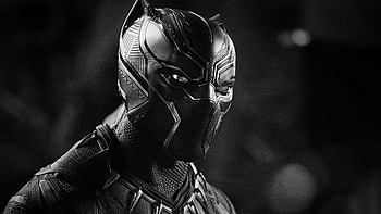 T'Challa, Black Panther, Chadwick Boseman, Marvel HD wallpaper