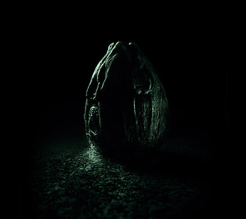 Movie, Alien: Covenant, Alien HD wallpaper