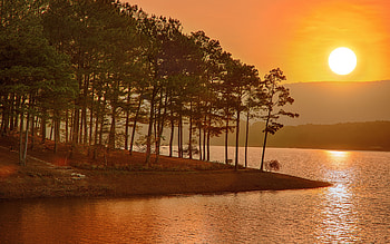 The Sun, Pond, Pine, Sunset, Trees HD wallpaper