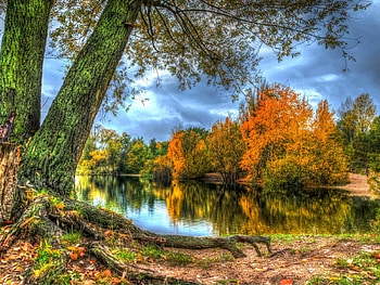 Autumn Forest, river, shore, leaves, trees, autumn, sky, nature, forest HD wallpaper