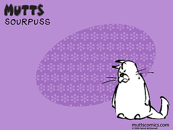 Sourpuss, mutts HD wallpaper