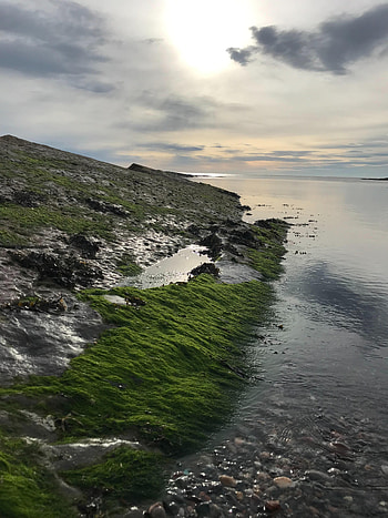 Nature, Stones, Sun, Shore, Bank, Moss, Slope HD phone wallpaper