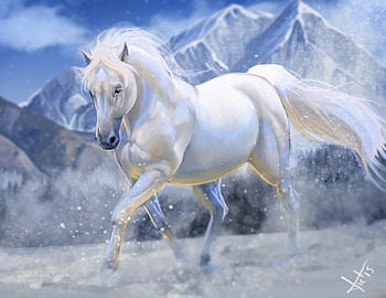 Horse, Animal HD wallpaper