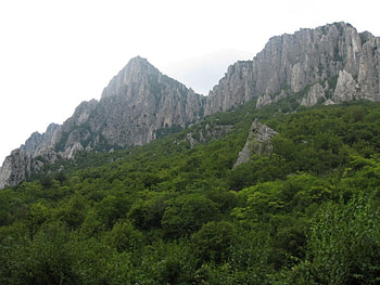 Hemus mountain, green, bulgaria, trees, , mountain HD wallpaper