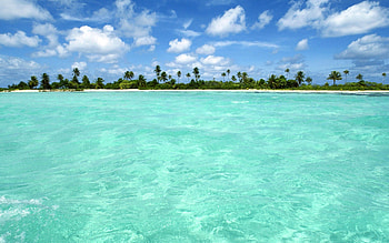 Clear Waters, oceans, sand, awesome, waterscape, palm, , high definition, tropical island, beauty, nice, scenery, trees, e, , amazing, water, sea, tropical beach, landscape, beautiful, ripples, cool, view, clouds, nature, waters, sky, clear, beachescape HD wallpaper