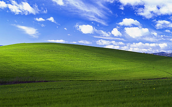 Windows Xp Bliss 423579 HD wallpaper