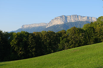 Nature, Trees, Grass, Mountain, Greens, Lawn HD wallpaper