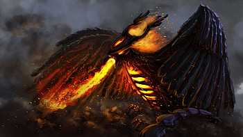Lovely Dota2 Phoenix HD wallpaper