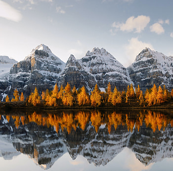 Golden trees, lake, mountains HD wallpaper