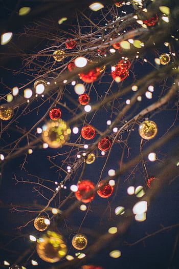 Twinkling red and gold baubles with fairy lights adorning winter branches, creating a festive atmosphere. HD phone wallpaper
