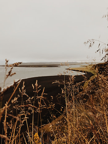 Landscape, Nature, Rivers, Grass, Shore, Bank HD phone wallpaper