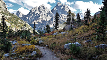 Grand Teton National Park, Moose, Wyoming, usa, path, clouds, landscape, trees, sky, rocks HD wallpaper