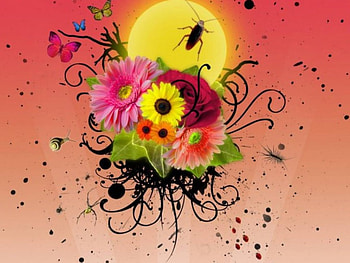 Flowers and insects, insects, bouquet, flowers, sun HD wallpaper