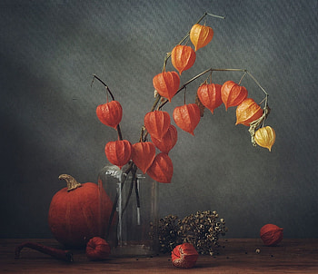 Food, Still life graphy, Floral branch HD wallpaper