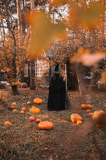 Spooky Halloween scene featuring a witch in a magical autumn forest surrounded by pumpkins. HD phone wallpaper