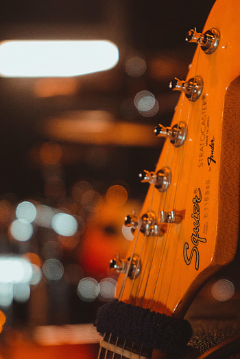 Music, Guitar, Vulture, Tuners, Musical Instrument, Splitting, Strings HD phone wallpaper