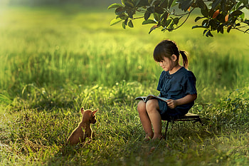 little girl, dog, childhood, blonde, Read, fair, nice, adorable, bonny, sweet, Belle, white, Hair, girl, grass, tree, comely, sightly, pretty, green, face, nature, lovely, pure, child, graphy, cute, baby, , set, Nexus, beauty, kid, seat, beautiful, people, little, pink, book, dainty HD wallpaper