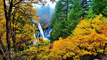 Burney Falls, California, after a very wet storm, fall, leaves, landscape, trees, colors, forest, usa HD wallpaper