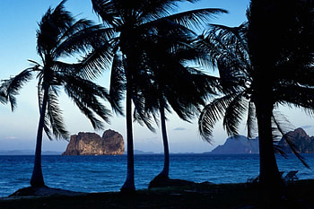 Ocean, Mountains, Rocks, Palm HD wallpaper