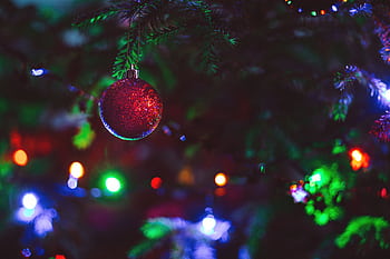Close-up of a sparkly red ornament hanging on a Christmas tree with colorful lights. HD wallpaper