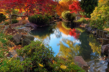 Fall Mirrors, Washington, blue, green, red, trees, Longview, autumn, beautiful, pond HD wallpaper