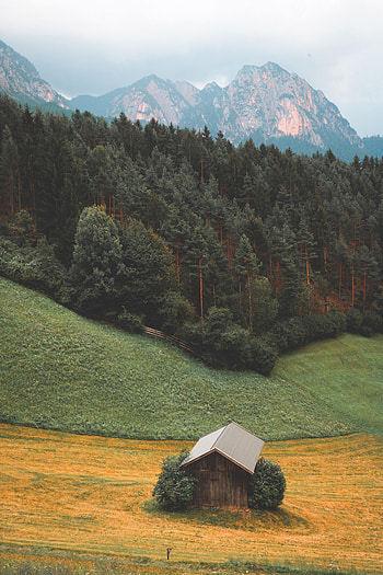 Landscape, Nature, Mountains, Forest, House HD phone wallpaper