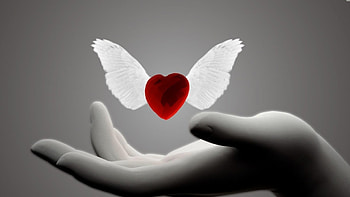 Heart With Wings, Love symbol, Captivating visuals, Romantic ry HD wallpaper