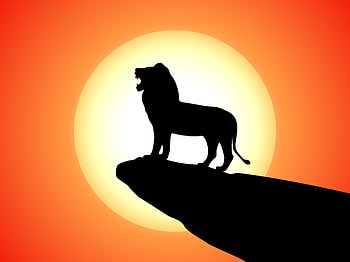The Lion King, the-lion-king, lion, 2019-movies, movies, disney HD wallpaper