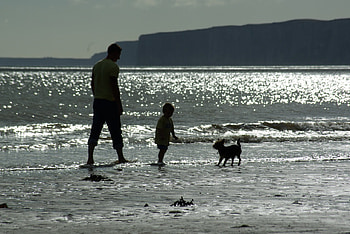 sunset view, seaside, walking, sunset, boy meets dog HD wallpaper