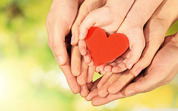 Hands, Family HD wallpaper