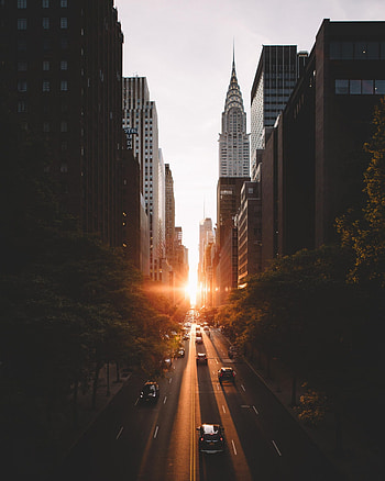 City Buildings, Cityscape, Sunrise HD phone wallpaper