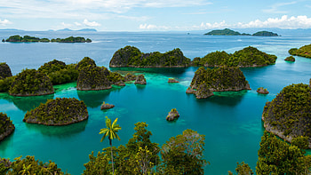 Scuba diving in Raja Ampat, Indonesia tropics, Best diving spots HD wallpaper
