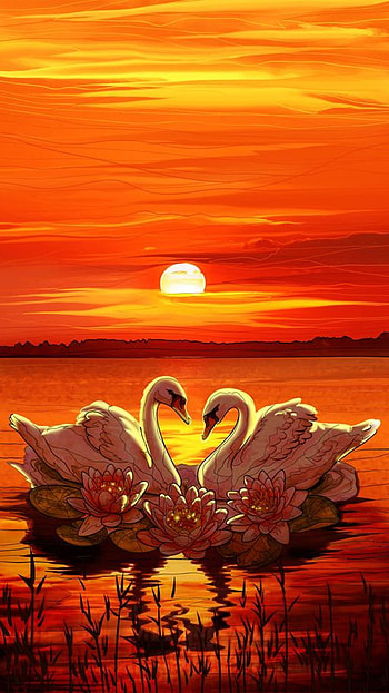 swans, orange, sky, white, nature, sunset, animal, river, lake, sun HD phone wallpaper