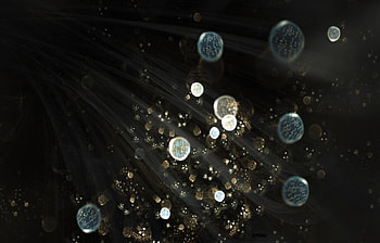 Light, Bubbles, Black, Sparkle HD wallpaper