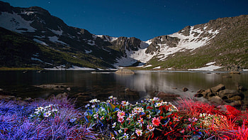 Spring thaw Mt Evans, Colorado, usa, lake, blossoms, landscape, flowers, water, reflections HD wallpaper