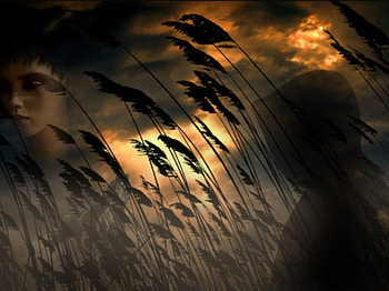Dream, fantasy, clouds, sky, nature HD wallpaper